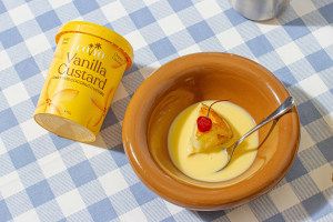 COYO launches dairy free custard
