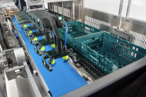 Proseal launches CP3rs automatic case packing system
