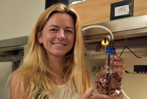 CQ Uni researching warm water seaweed production