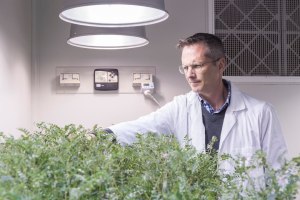 USyd awarded $990k for pulses-to-protein project 