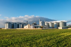 Managing F&B uncertainty with sustainable solutions