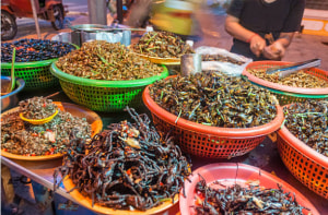 Bug munch with crunch