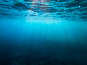 WSU develops world-first underwater sensor