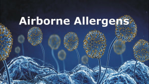 Mould as an asthma trigger