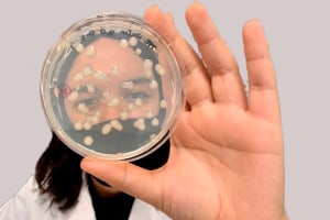 CSIRO: $50m to turn science into waste solutions