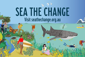 #SeaToSource aims to combat microplastics surge