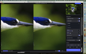 Review: Topaz Photo AI