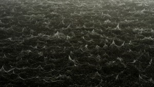 Spider silk inspires $30,000-winning photograph