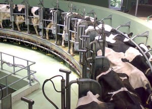 Dairy support package announced