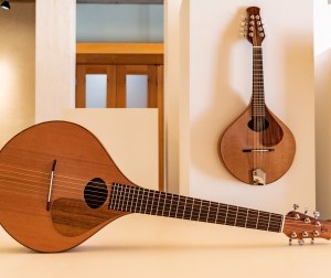 Sounds Tasmanian: Organology exhibition 