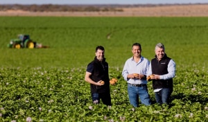 Coles celebrates its top suppliers