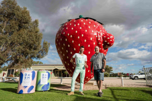 The Big Wonky Strawberry highlights a big issue
