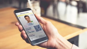 No threat to printed cards from digital NSW licences