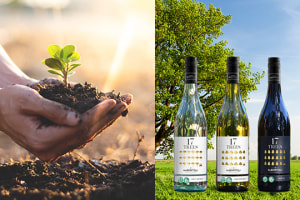 Planting towards a greener future