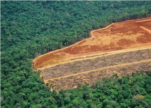 CDP: Business needs to ensure supply chain environmental integrity