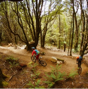 Tassie takes out &lsquo;Trail of the Year&rsquo;