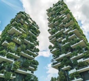 A cool approach to urban design