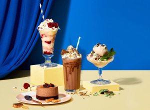 Nestlé Professional: Milkybar and Aero dessert mixes