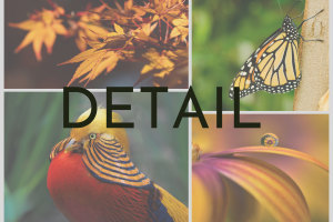 April &lsquo;Detail&rsquo; comp: winners announced!