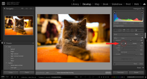 3 more quick tips for using Lightroom's Adjustment Brush