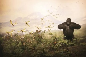 Cade Martin reimages museum dioramas