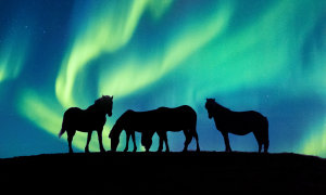 The art of the Aurora: Shooting tips for the world's best light show