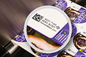 Domino launches food packaging compliant UV ink