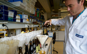 Machine learning: Making beer taste better