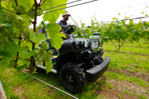 The Yield, Yamaha trial new agtech with TWE