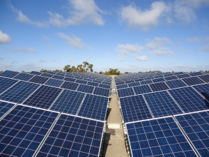 Foodmach saves with solar