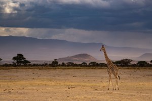 Photographing Africa (from a beginner's perspective)