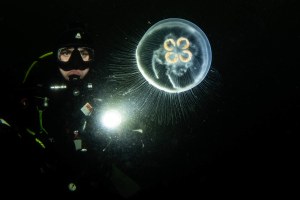Review: Sony A9 III (from an underwater photographer's perspective)
