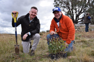 Climate Change minister endorses Impact's carbon-offset forest 