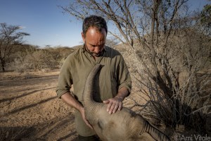 Ami Vitale and musican Dave Matthews team up to save the elephants 