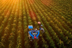 Raising the sustainability bar
