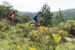 All About e-Bikes