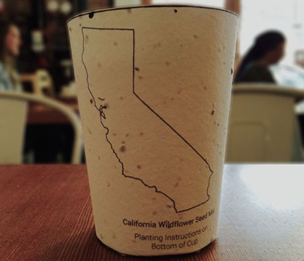 The coffee cup that regenerates the world's plant life