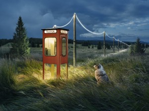 Full program announced for Ballarat International Foto Biennale