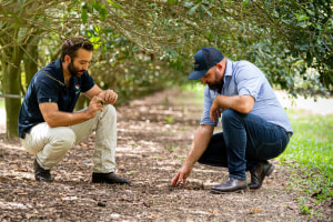 Cracking the carbon nut