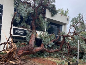 MELBOURNE PRINTERS HIT BY STORM