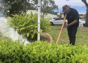 Naidoc Week: E-Bisglobal transitions to Aboriginal 