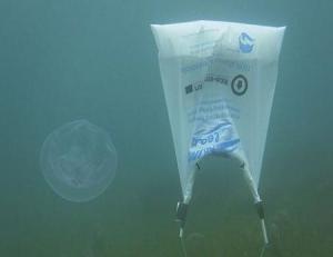 Our oceans' clean-up gets a boost