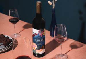 Shiraz design recognised for a public good