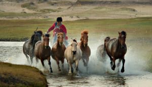2017 Photographer of the Year: 10 tips to improve your chances