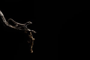 CameraPro's $12,000+ Explorer's Grant opens for entries