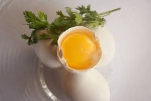 National free range egg standard a step closer