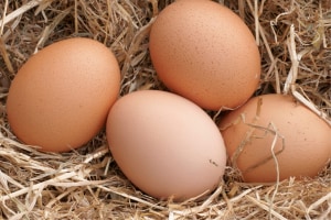 Egg industry advances traceability resources