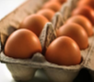 Bidfood to eliminate cage eggs