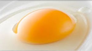 More free range claim pain for egg producers