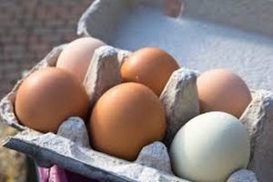 Choice reveals extent of the free range rip off